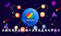 区块链商机之路：揭示未